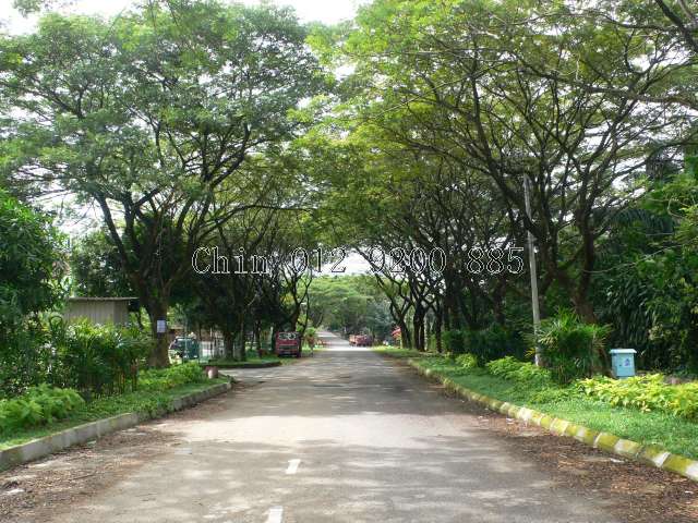 1 Entrance - Serene Road