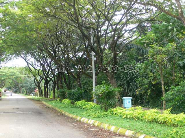 Heavy Vegetation