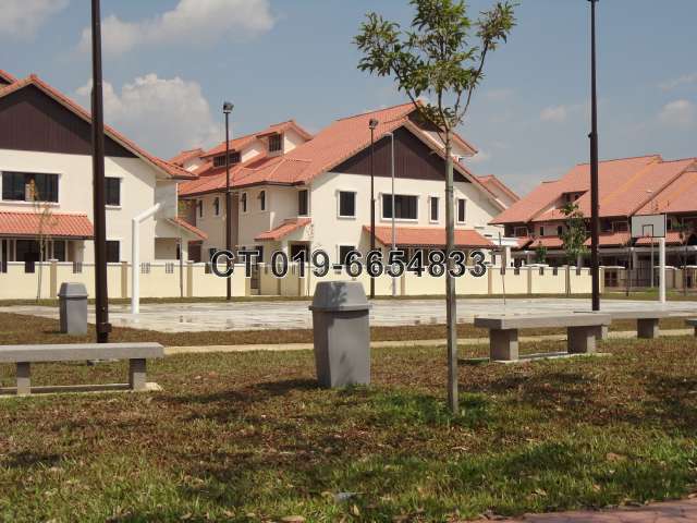 basketball Court