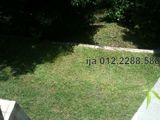 Spacious Backyard 1