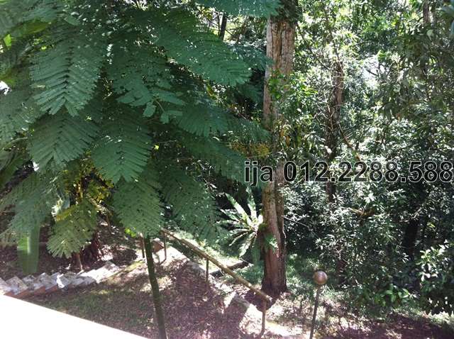 Spacious Backyard 2
