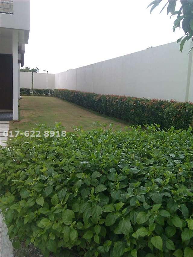 Extra Greenery Land