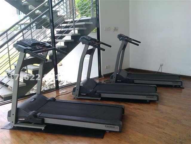 Gymnasium