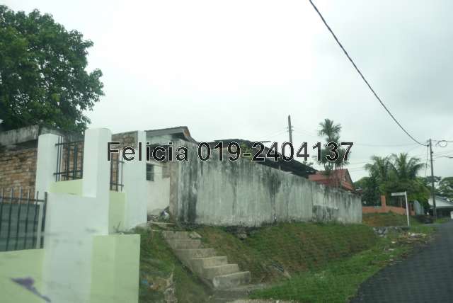 Back side view