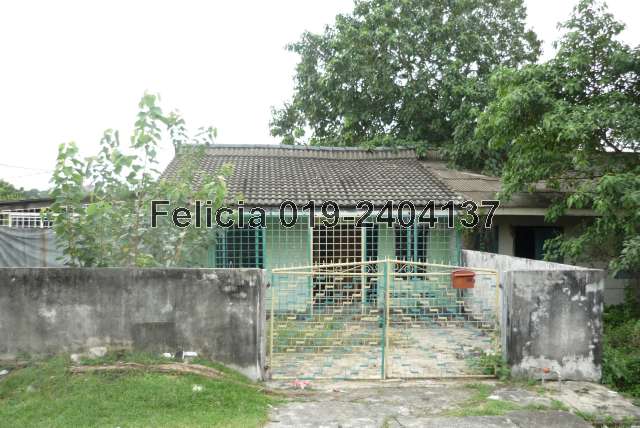 Front view