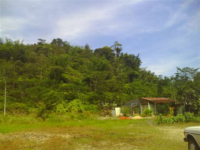 main picture