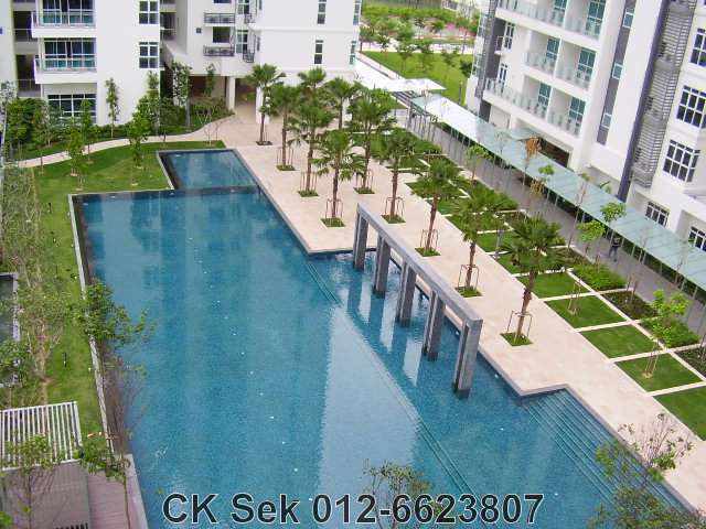 Swimming pool view