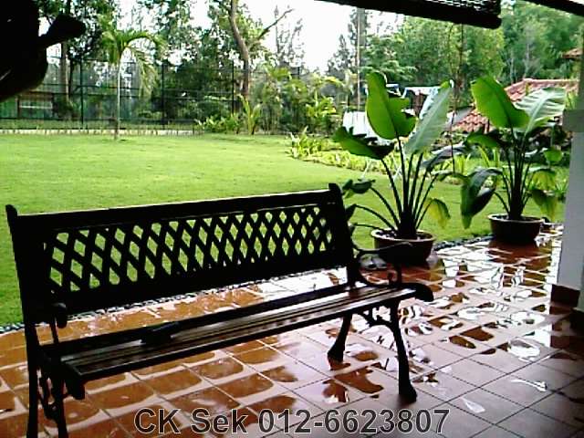 View from patio