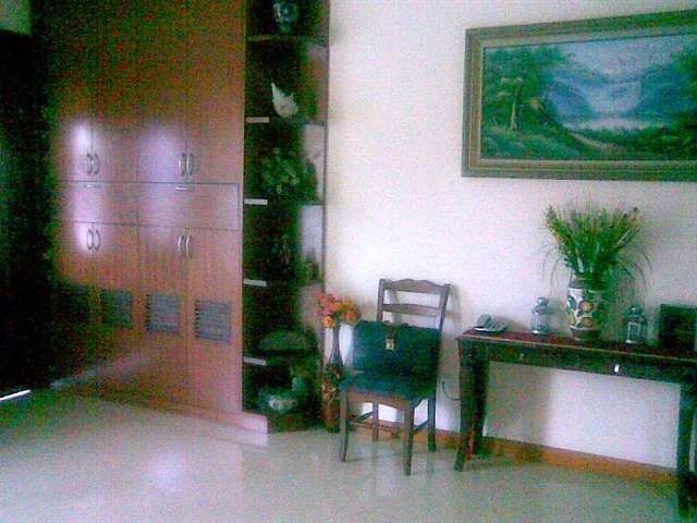 main picture