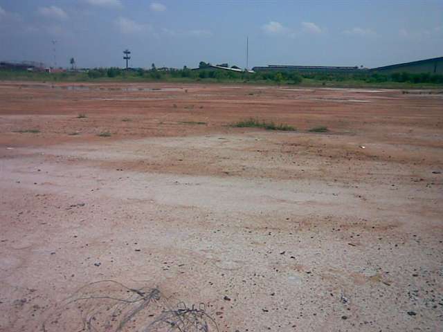 main picture