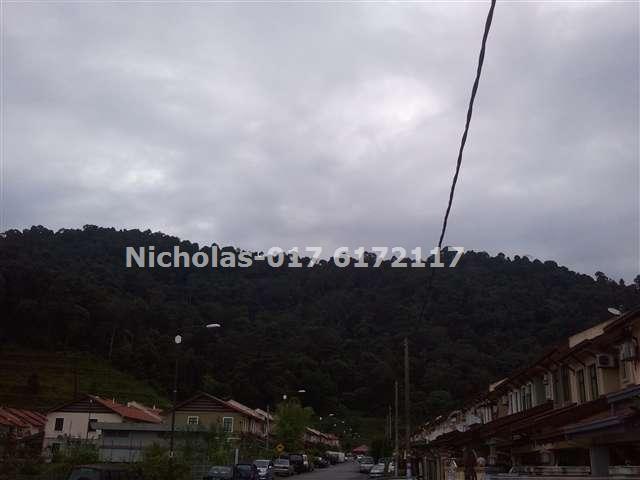 Nicholas-017 6172117