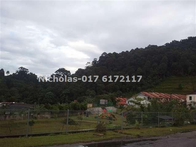 Nicholas-017 6172117