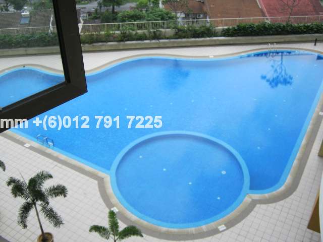Pool view from Living Room