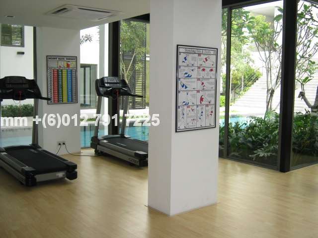 Gymnasium