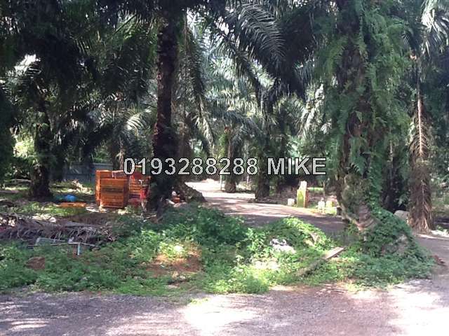 Johor