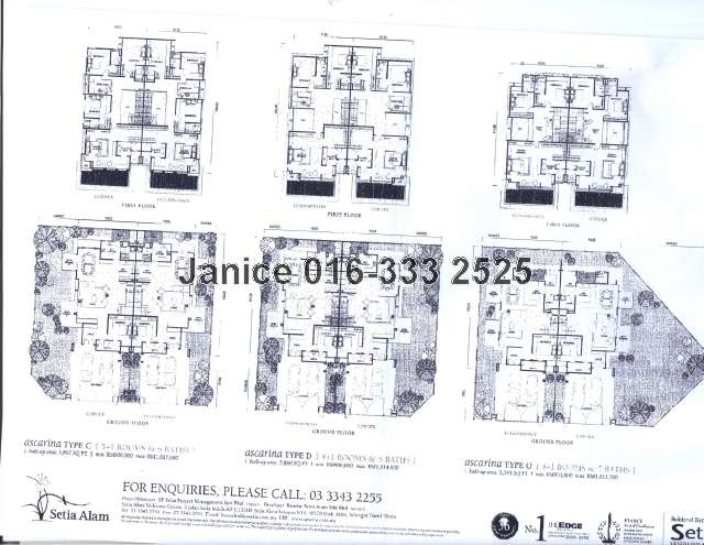 Ascarina Floor Plan