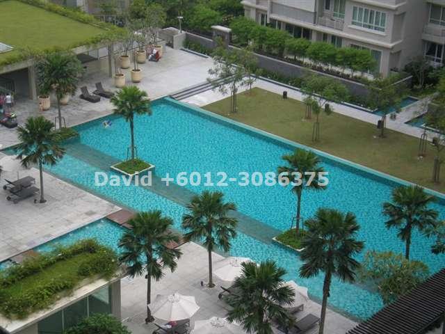 Swimming Pool View