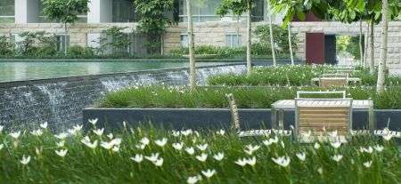 Transquil Landscaping