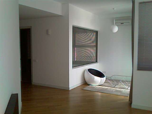 main picture