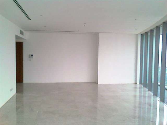 main picture
