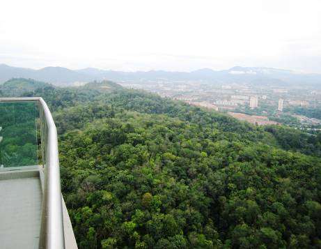 Green View