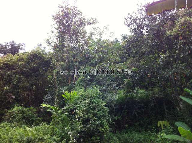 reference for land condition