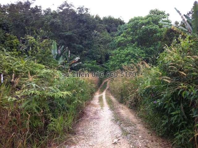 access road to parcel of land