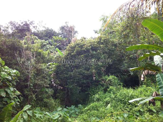 acture site