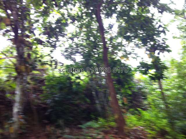 reference for land condition