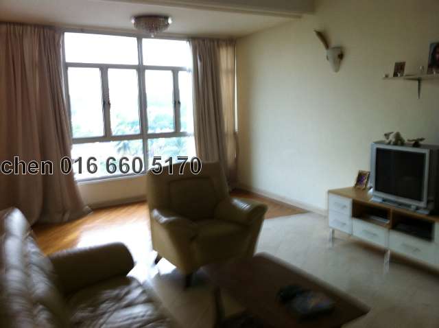 living - fully furnished