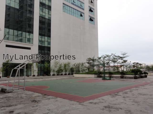 Basketball Court