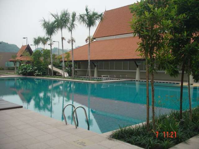 main picture