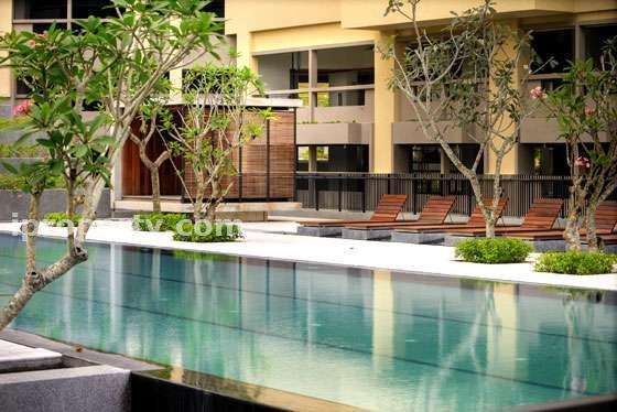 Alternative view of pool