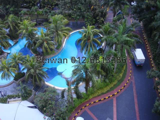 Swimming pool view