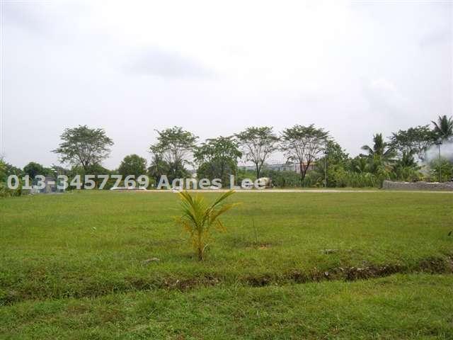 surrounding area