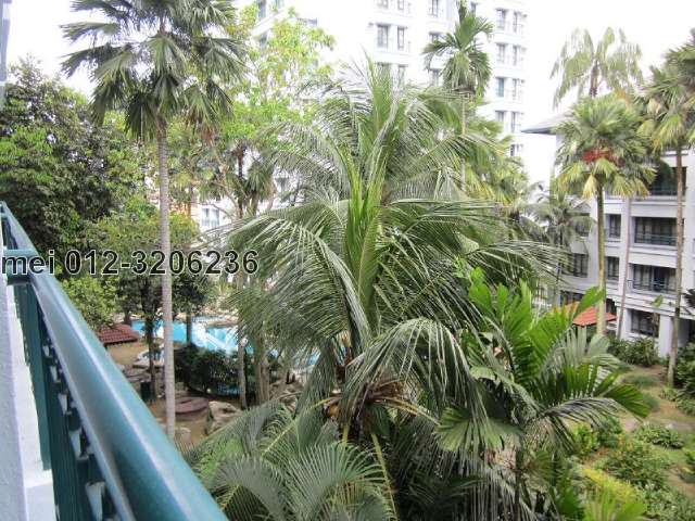 View from balcony.