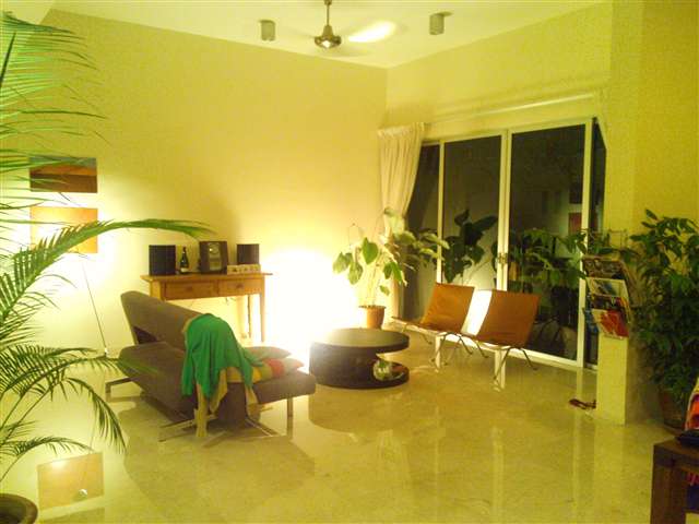 over view