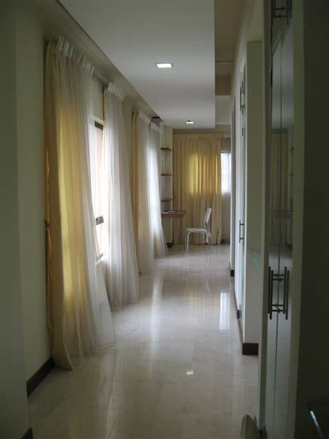 main picture