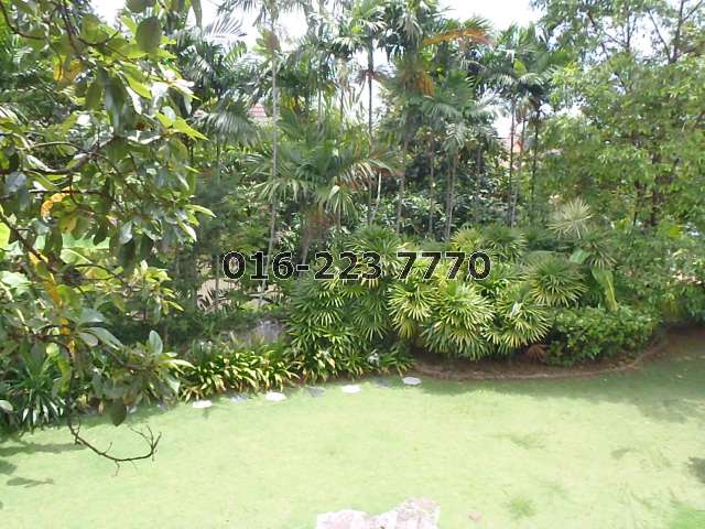 Back Garden