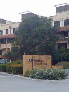 main picture