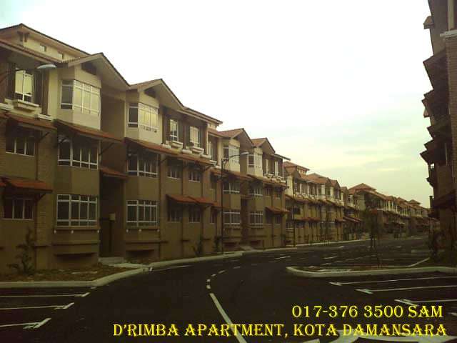 main picture