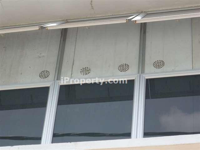 Bird's Nest Cultivation