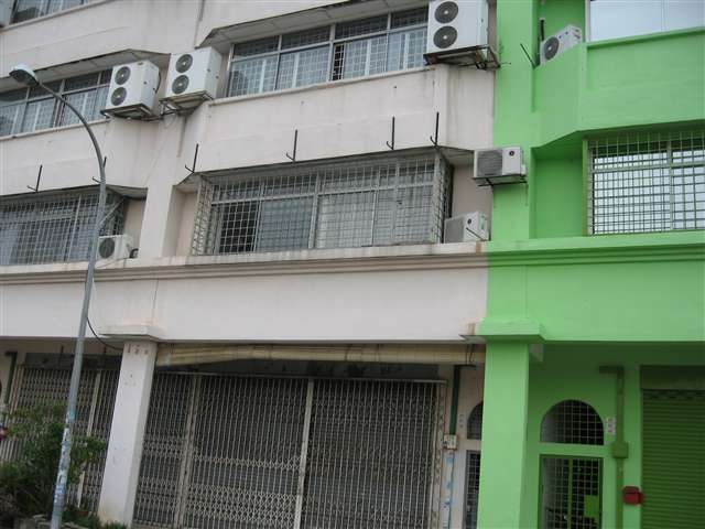 main picture
