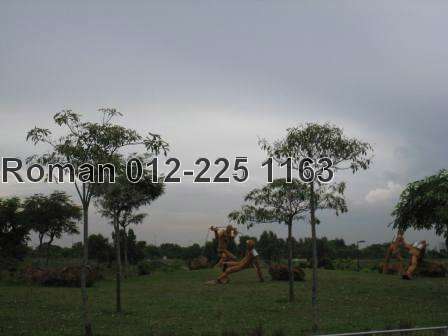Beautiful Landscaping