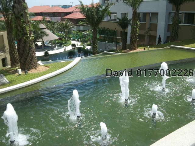 Top View Water Feature