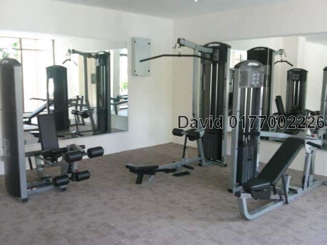 Gymnasium