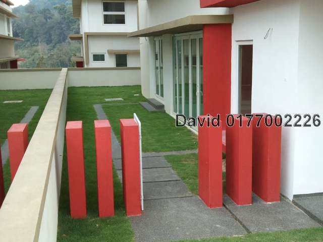Side Garden