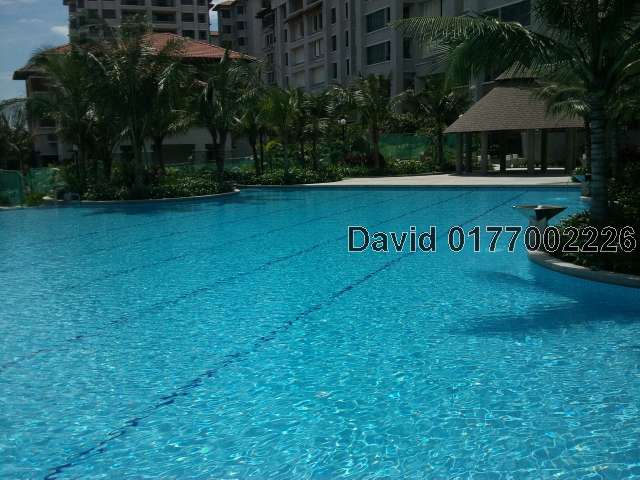 Big Lap Pool