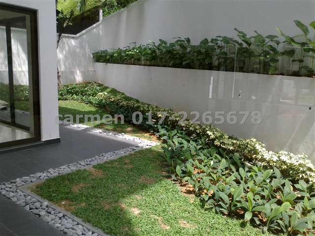 back garden