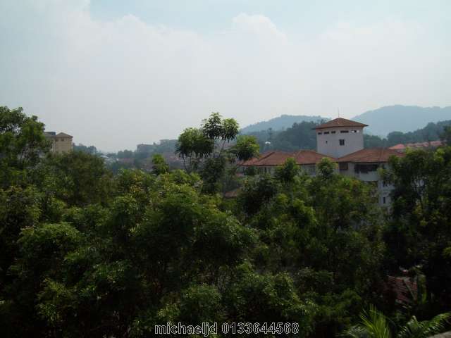 green view